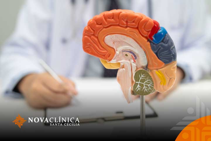 El cerebro humano: 6 curiosidades que probablemente no sabías